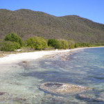 A serene beach with clear water, rocky shoreline, and lush green hills, possibly the British Virgin Islands.