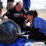 Stephen-McCulloch-and-Dolphin-on-beach