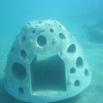 Underwater grouper hotel