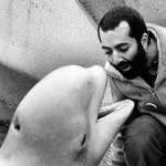 raffi-baby-beluga-feature