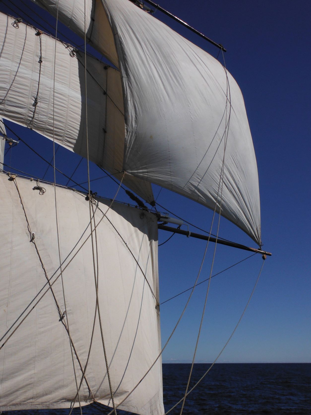 Europa 9